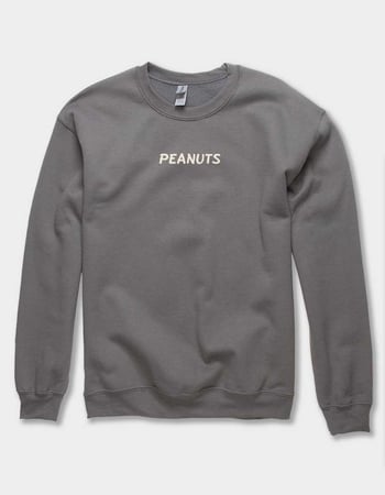 PEANUTS Together Pumpkin Unisex Crewneck Sweatshirt Alternative Image