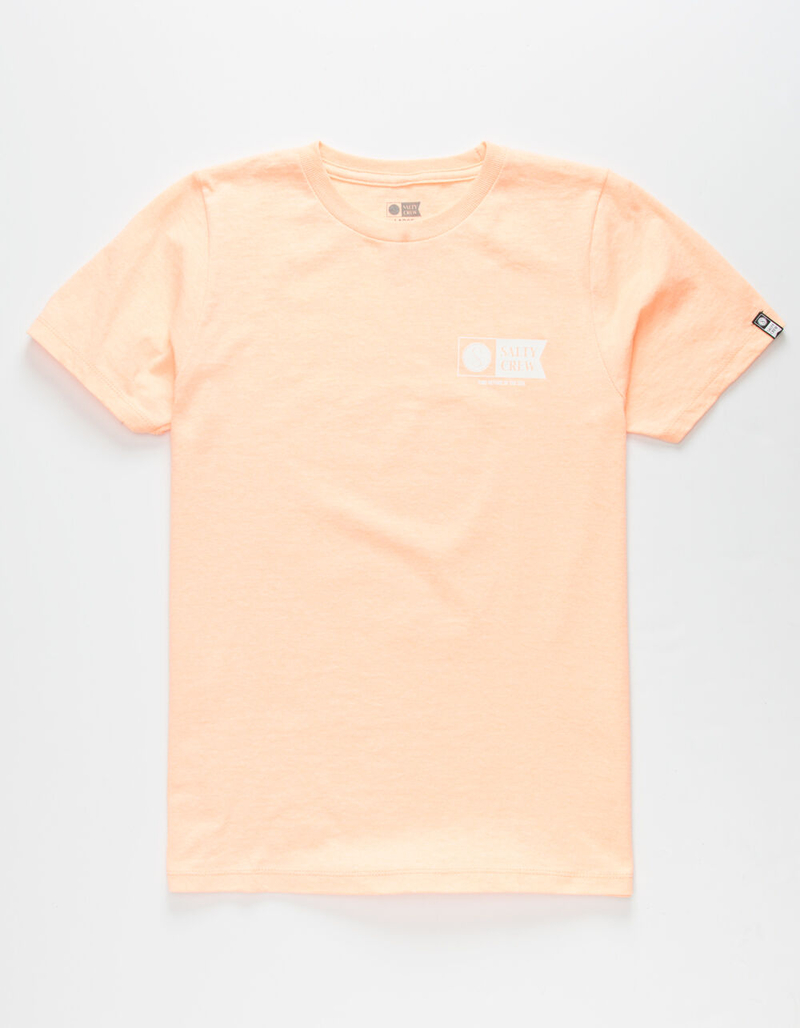 SALTY CREW Alpha Flag Boys T-Shirt image number 1