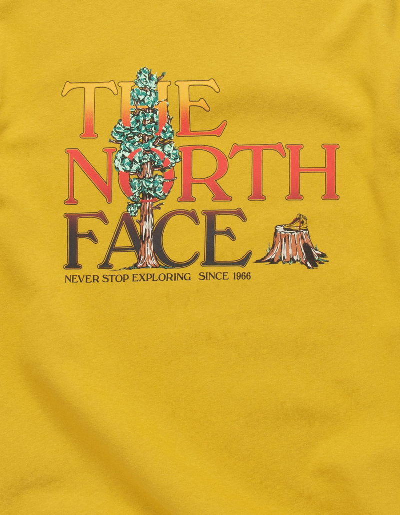 THE NORTH FACE Graphic Injection Mens Crewneck Sweatshirt image number 1