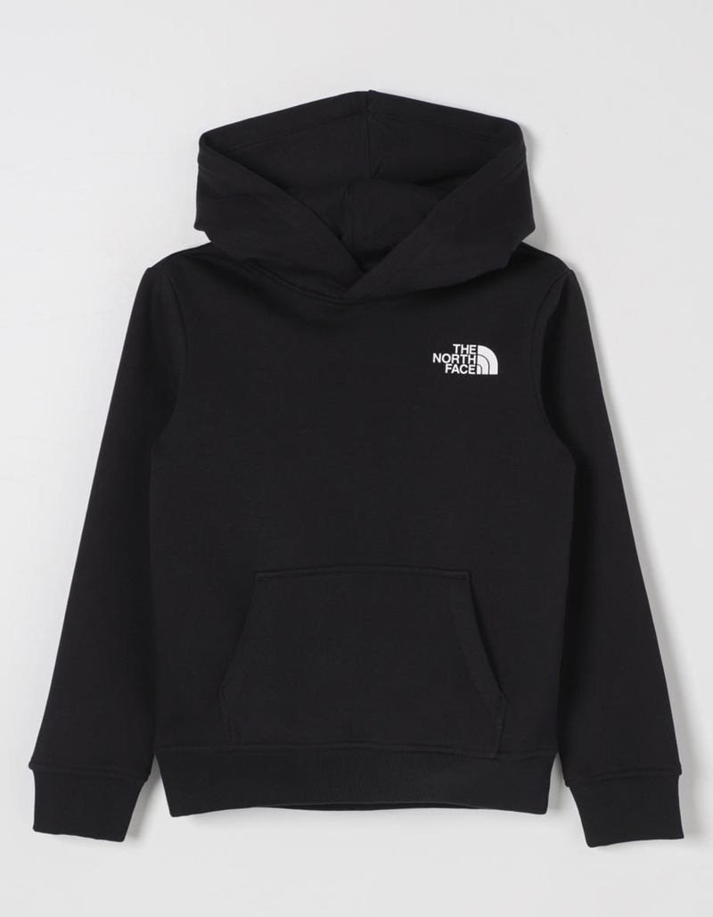 THE NORTH FACE Evolution Box NSE Boys Hoodie image number 1