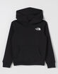 THE NORTH FACE Evolution Box NSE Boys Hoodie image number 2