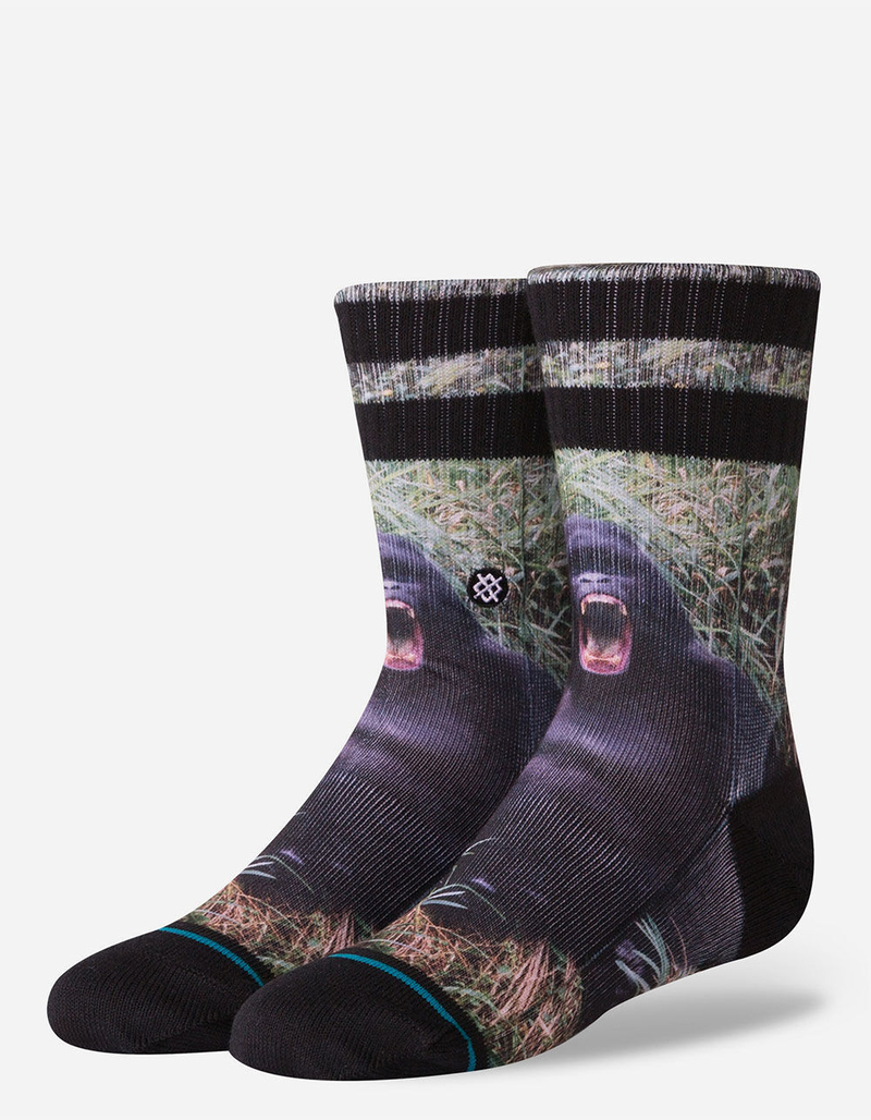 STANCE Gorilla Boys Crew Socks image number 0