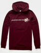 SANTA CRUZ Other Dot Mens Hoodie image number 2