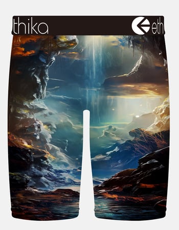 ETHIKA Lion Hearted Staple Mens Boxer Briefs Alternative Image