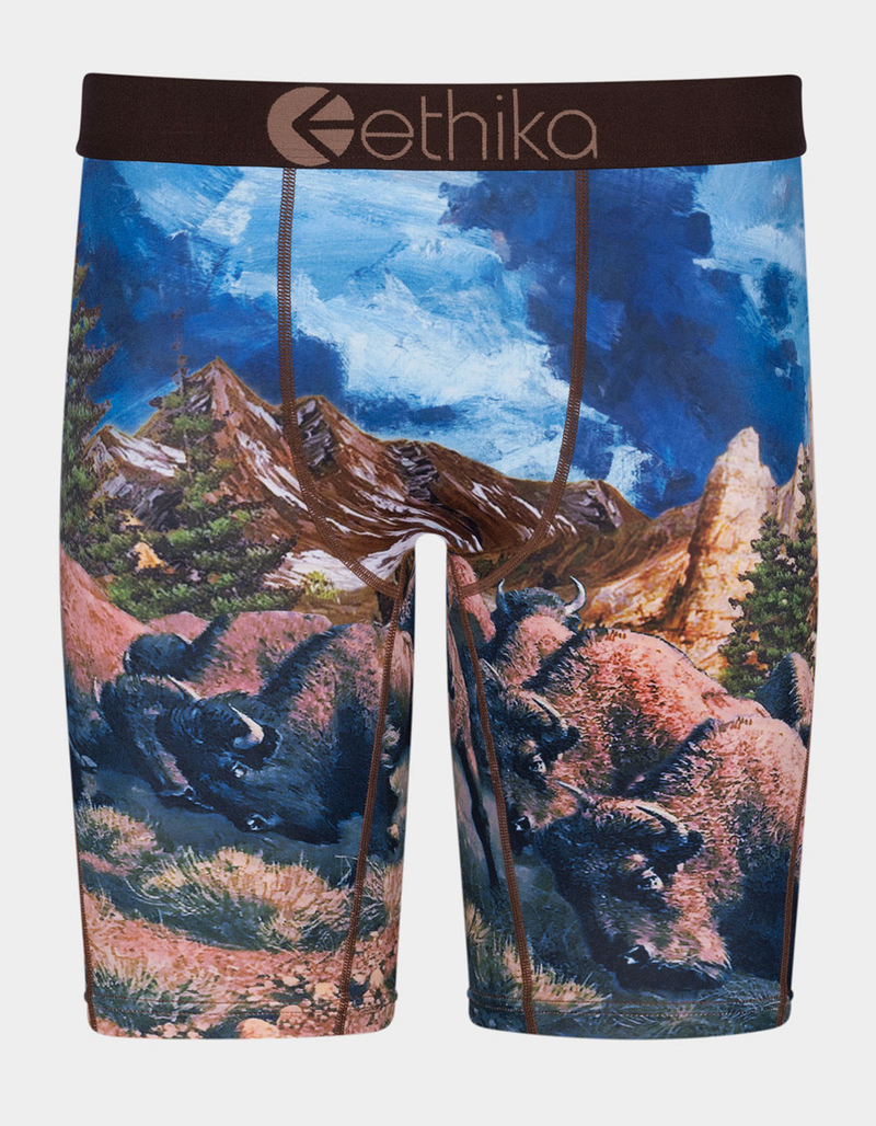 ETHIKA Bison Staple Boys Boxer Briefs image number 0