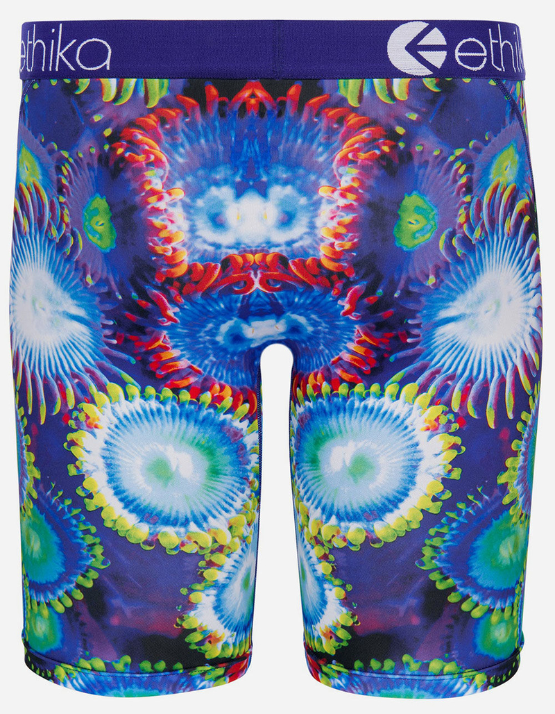 ETHIKA Sea Garden Staple Mens Boxer Briefs image number 2