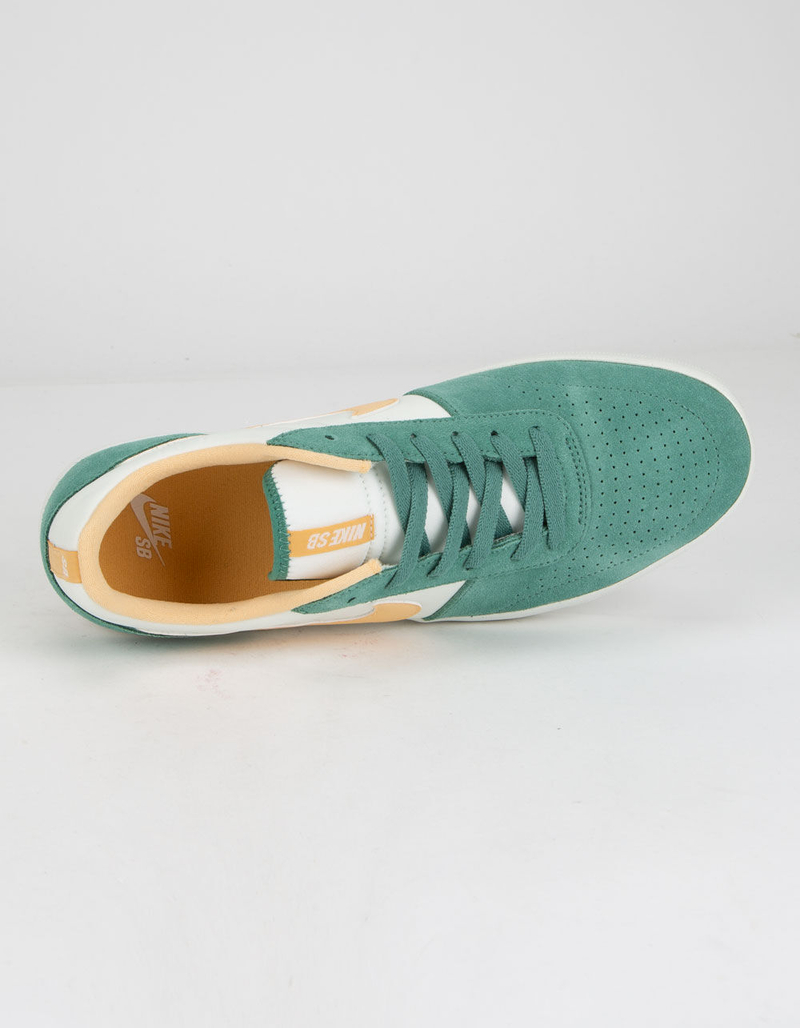 NIKE SB Team Classic Bicoastal & Celestial Gold Shoes image number 2