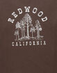 RSQ Mens Oversized Redwood Tee image number 2