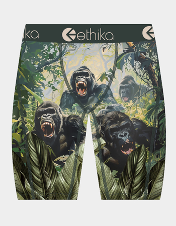 ETHIKA Staple Boys Boxer Briefs Primary Image
