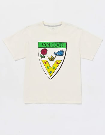 VOLCOM Fergadelic Mens Tee Primary Image