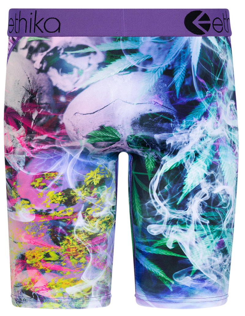 ETHIKA High Standards Staple Mens Boxer Briefs image number 2