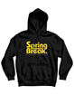SPRING BREAK SNOWBOARDS Break it Mens Hoodie image number 1