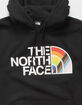 THE NORTH FACE Pride Mens Hoodie image number 5