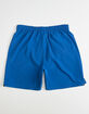 NIKE Solid Mens Royal Boardshorts image number 2
