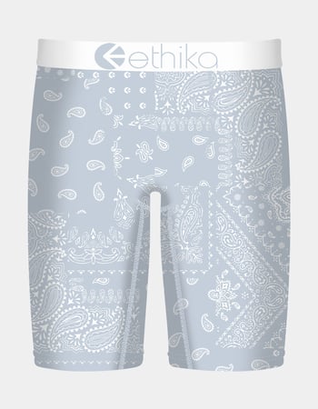 ETHIKA Ice Paisley Staple Boys Boxer Briefs Primary Image