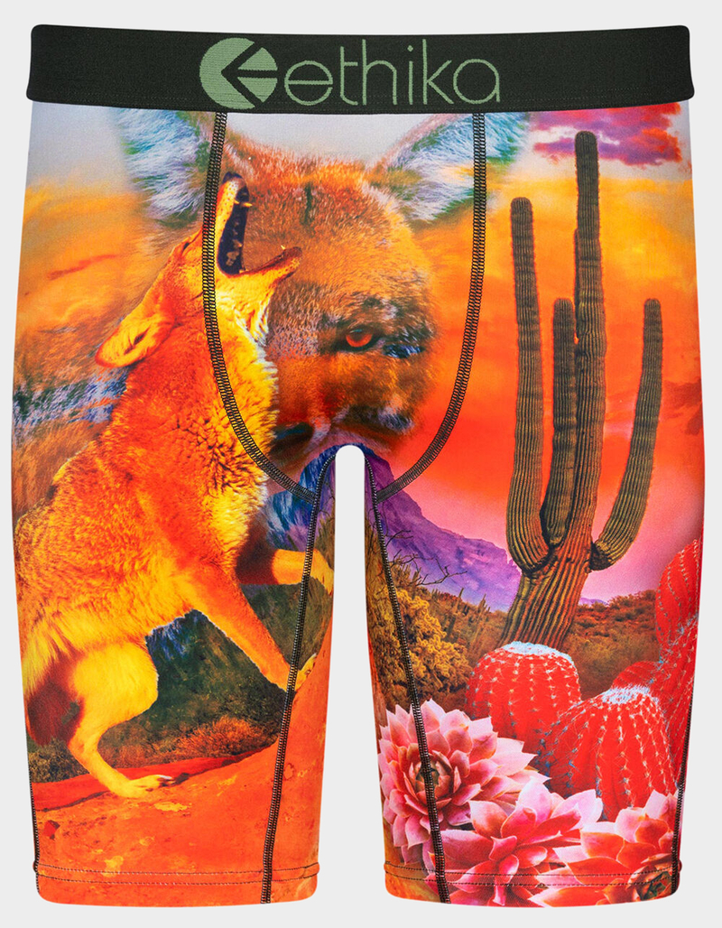 ETHIKA Desert Dog Staple Mens Boxer Briefs image number 0