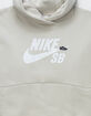 NIKE SB Icon Fleece Boys Hoodie image number 3