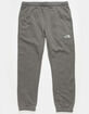 THE NORTH FACE NSE Box Mens Jogger Sweatpants image number 1