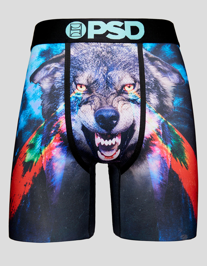 PSD Alpha Mens Boxer Briefs image number 1