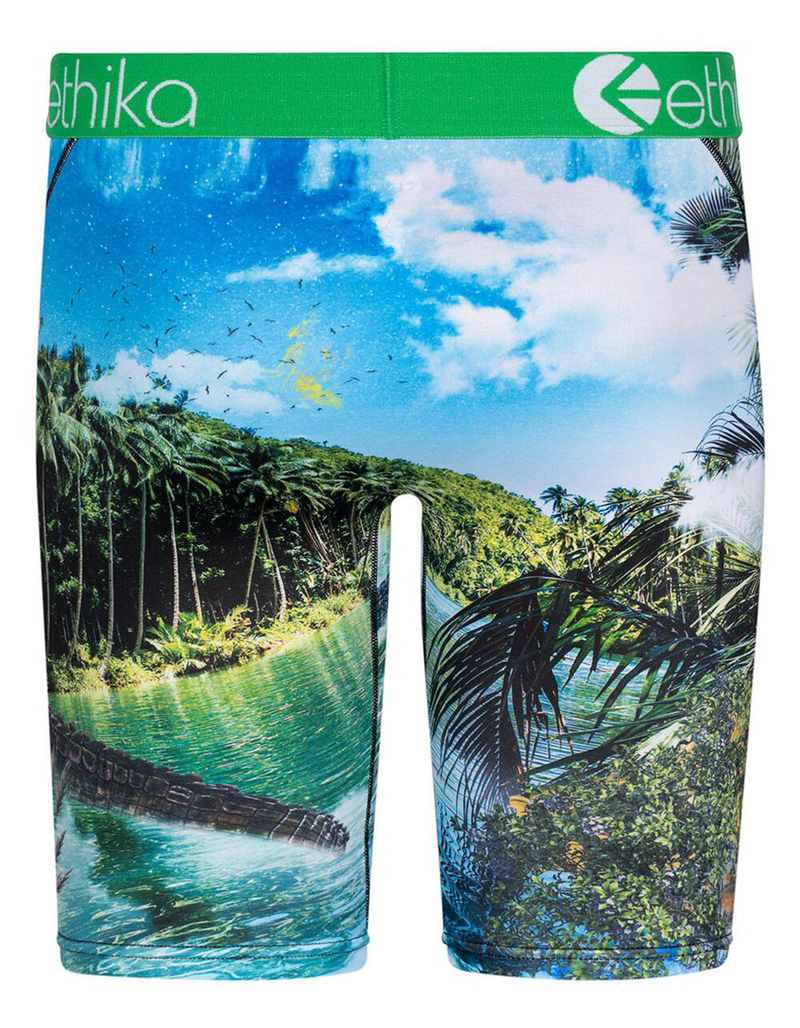 ETHIKA Ethika Dundee Boys Boxer Briefs image number 2