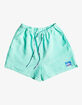 QUIKSILVER x Stranger Things Lenora Womens Volley Shorts image number 4