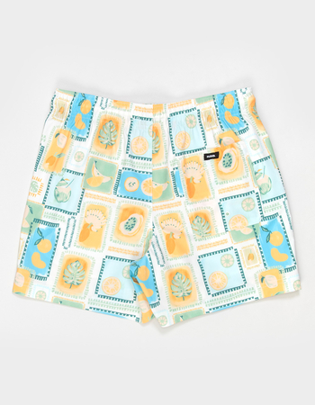RSQ Mens Citrus 5" Swim Shorts Alternative Image
