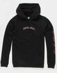 SANTA CRUZ Empty Flamed Boys Hoodie image number 2