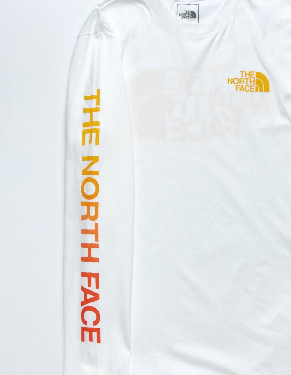 THE NORTH FACE Gradient Half Dome Mens 