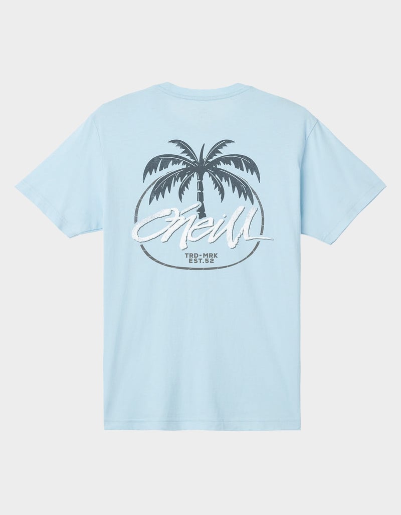 O'NEILL Home Grown Mens Tee image number 0
