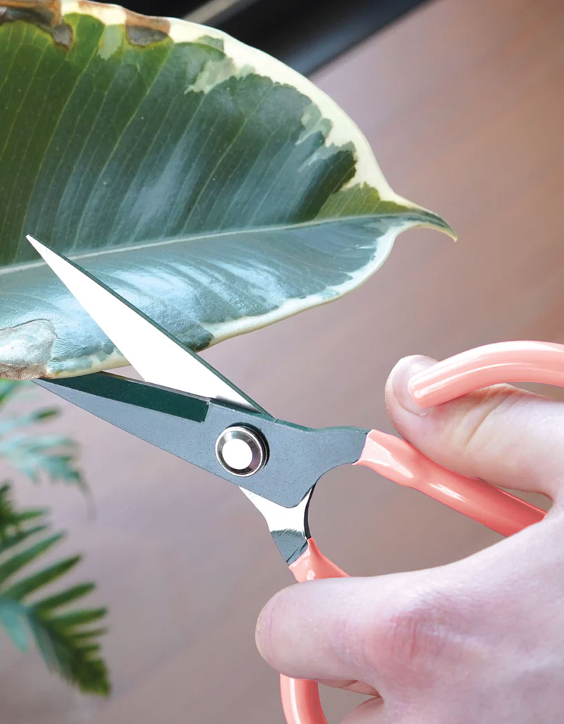 Houseplant Scissors image number 1