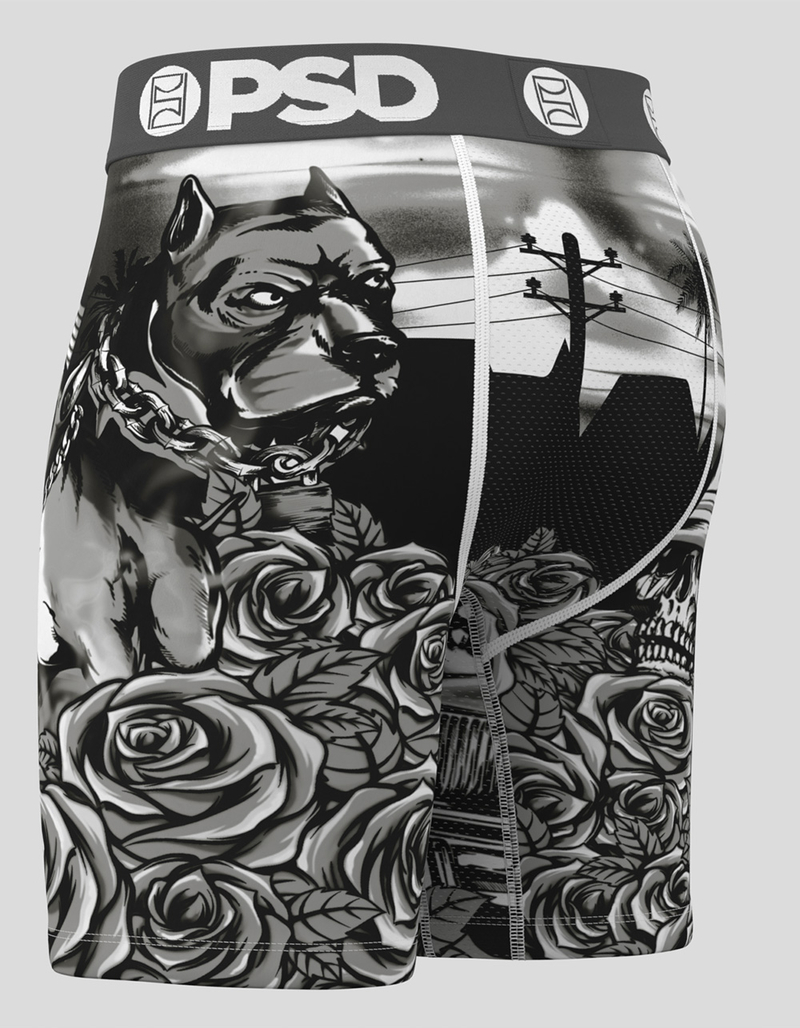 PSD Vatos Locos Mens Boxer Briefs image number 2