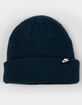 NIKE Terra Futura365 Short-Cuff Beanie image number 1