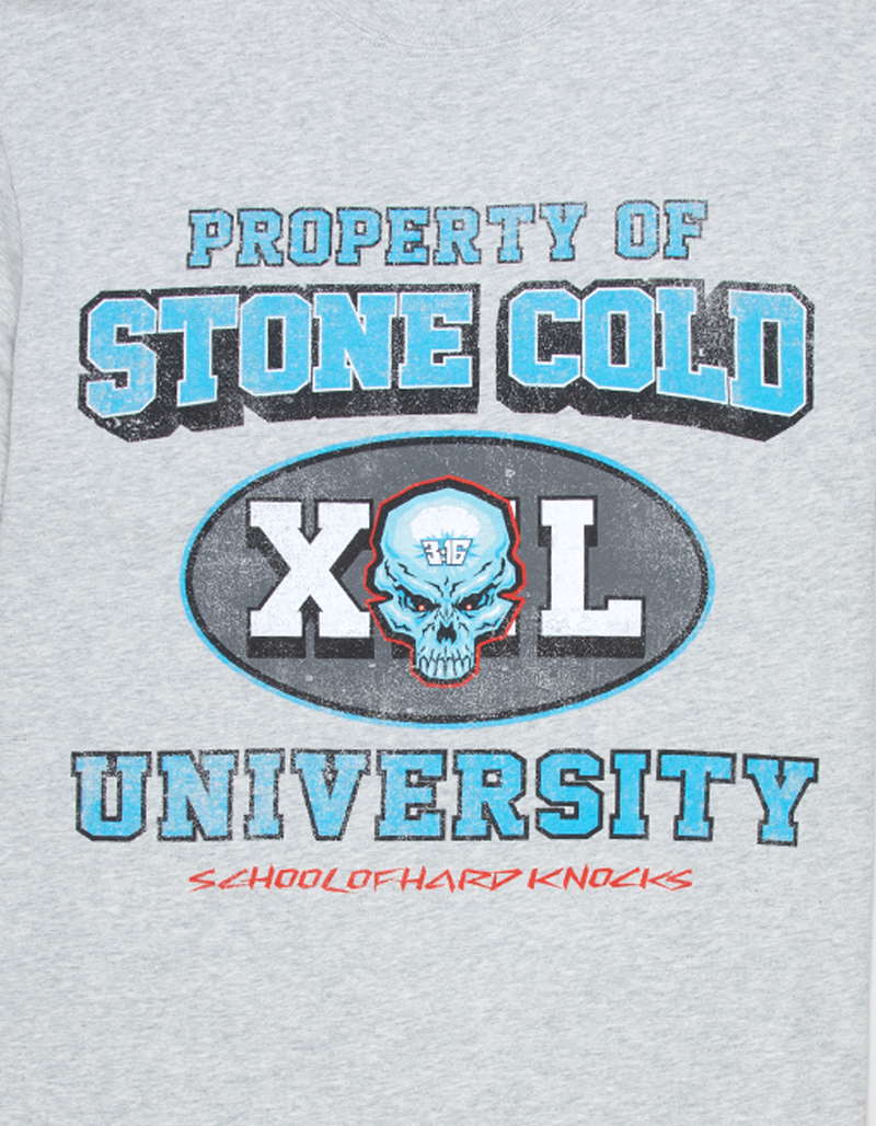 WWE Stone Cold Alum Mens Boxy Tee image number 2