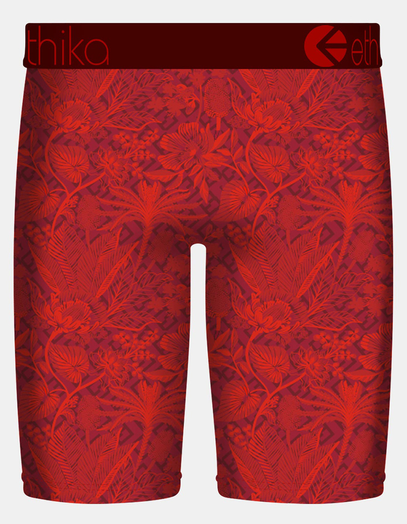 ETHIKA Cardinal Staple Boys Boxer Briefs image number 1