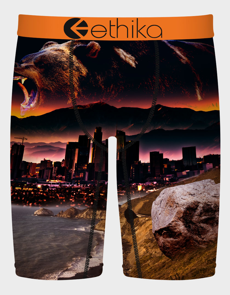 ETHIKA Always Primal Mens Boxer Briefs image number 0
