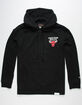 DIAMOND SUPPLY CO. x NBA Space Jam Bulls Mens Hoodie image number 3