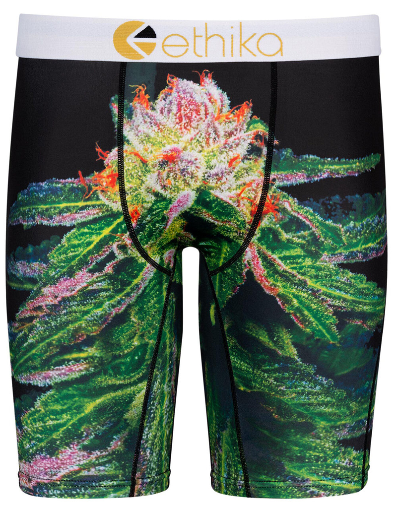 ETHIKA Krystal Kush Mens Boxer Briefs image number 0