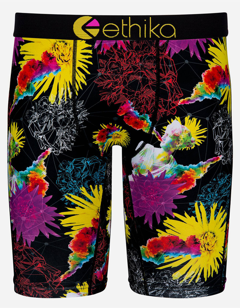 ETHIKA Imaginate Staple Boys Boxer Briefs image number 0