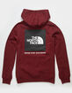 THE NORTH FACE Box NSE Mens Hoodie image number 1