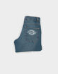 DICKIES Hilham Mens Baggy Jeans image number 3
