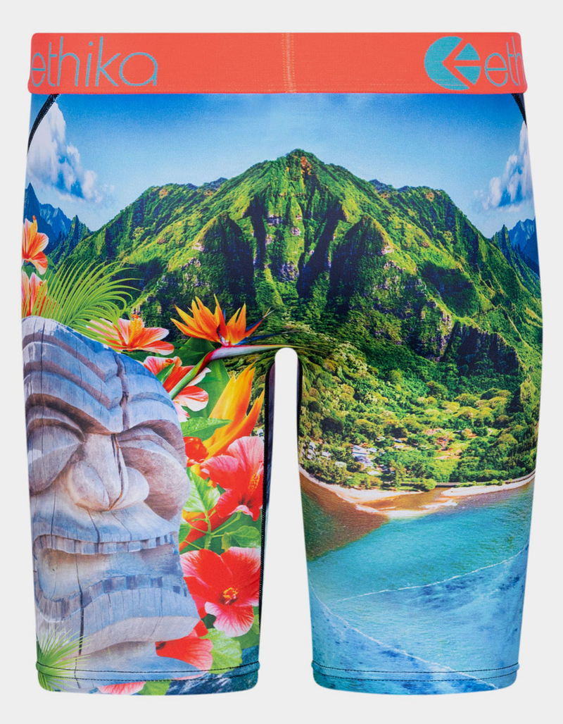 ETHIKA Island Time Staple Mens Boxer Briefs image number 2