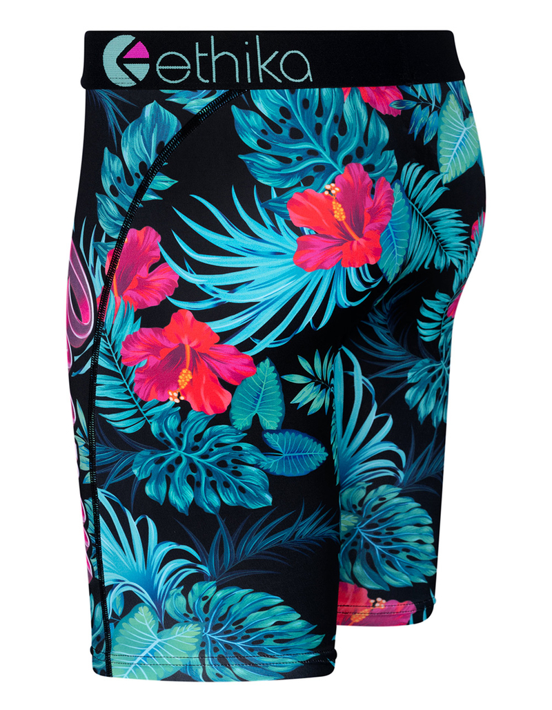 ETHIKA Shaka Cooper Webb Staple Mens Boxer Briefs image number 1