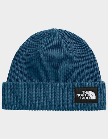 THE NORTH FACE Salty Lined Beanie Primary Image