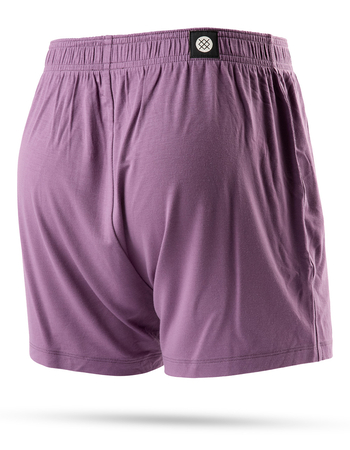 STANCE Butter Blend™ Mens Boxers Alternative Image