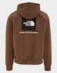 THE NORTH FACE Evolution Box NSE Mens Hoodie image number 1