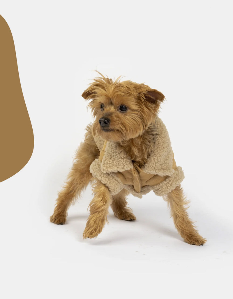 SILVER PAW Millie Dog Jacket image number 4