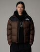 THE NORTH FACE 1996 Retro Nuptse Mens Jacket image number 4