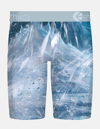 ETHIKA Pola Staple Boys Boxer Briefs Alternative Image
