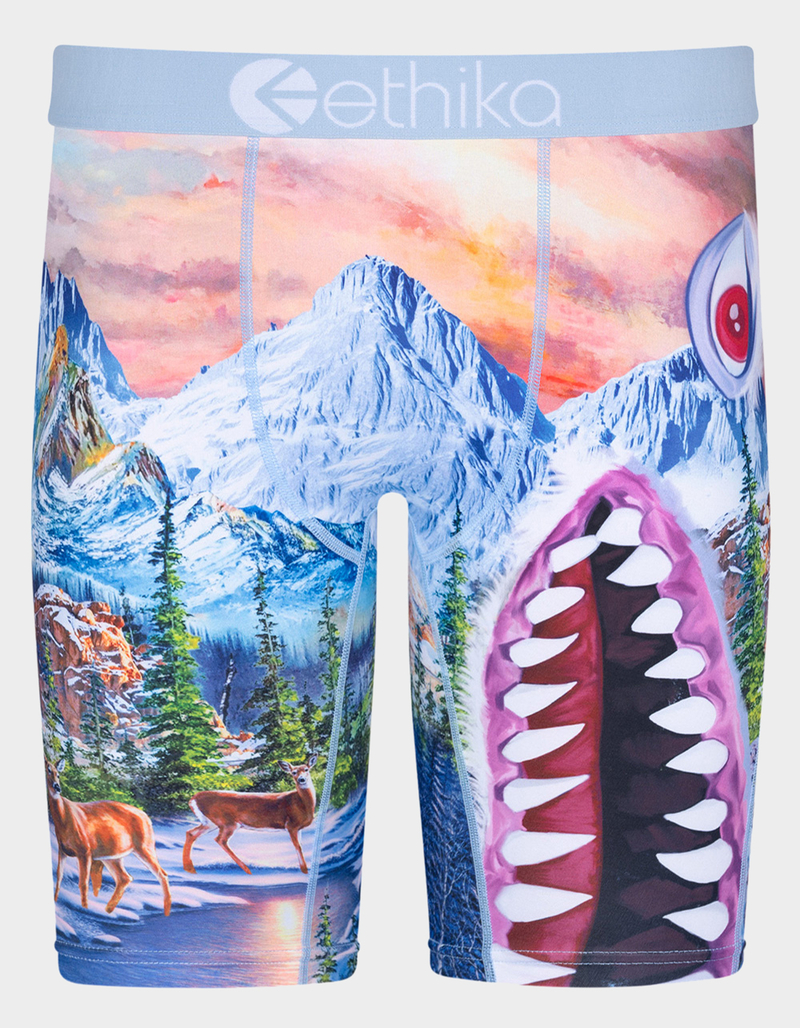 ETHIKA Bomber Abominable Staple Mens Boxer Briefs image number 0