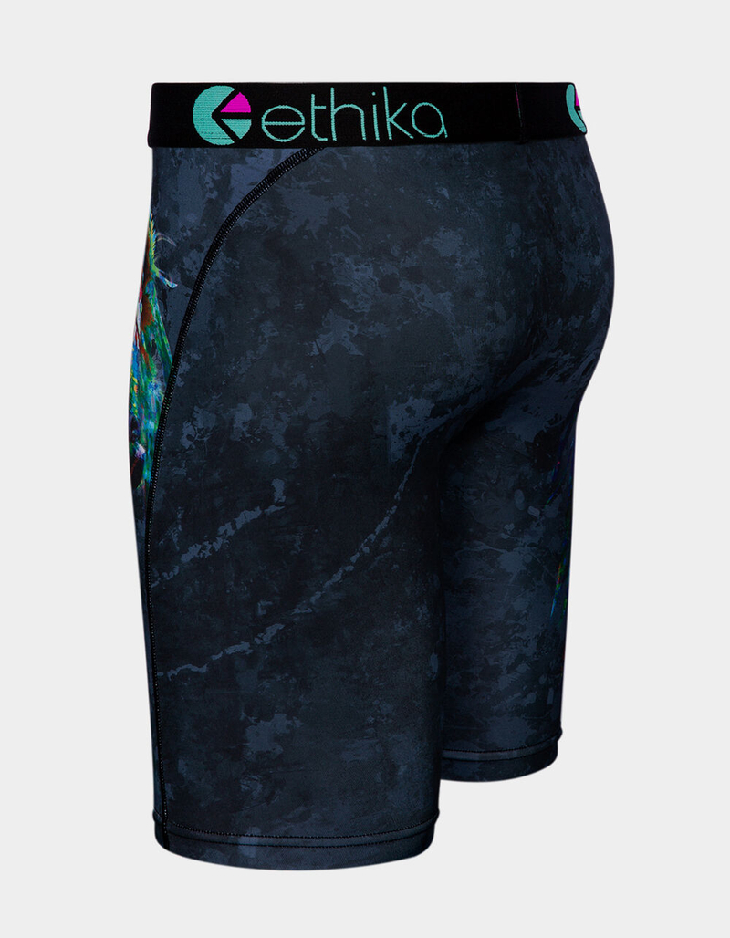 ETHIKA Native Grizzly Staple Boys Boxer Briefs image number 1